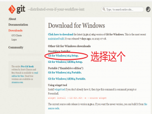 Git下载和安装（保姆级）_git2.50.1