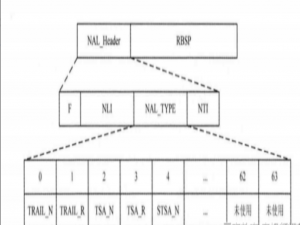 【音视频】H265 NALU分析