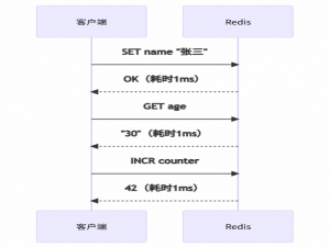Redis Pipeline性能翻倍秘籍:告别网络延迟，吞吐量提升10倍_redis pipeline 耗时高