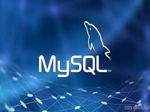 MySQL JSON 数据类型用法及与传统JSON字符串的对比 JSON数据类型简介