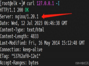 漏扫问题-服务器中间件版本信息泄露（消除/隐藏Nginx版本号）