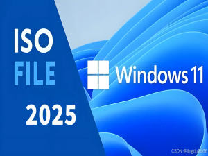 微软正式发布：Windows 11 IoT 企业版 LTSC 2024 ！不挑硬件、速度快，10年支持，强烈推荐安装_windows 11 enterprise ltsc 2024