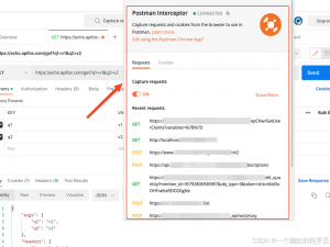 Postman Interceptor 离线使用指南：告别网络限制_postman离线版