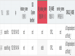 Oracle【容灾篇】02：Oracle19c ADG 搭建步骤_oracle adg