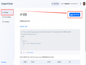 python调用谷歌Gemini大模型API两种方法（兼容OpenAI）_genimi api key