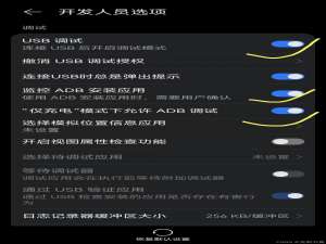 2024年中最新！鸿蒙4.2成功开启无线调试_华为无线调试