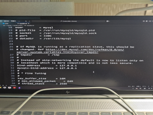 如何在VS code里使用SQLtool连接上WSL上的MySQL服务