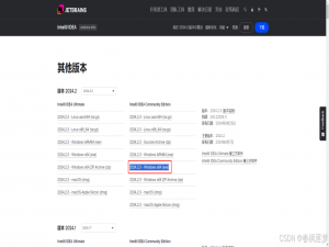 IntelliJ IDEA 2024社区版保姆及图文安装教程_idea社区版