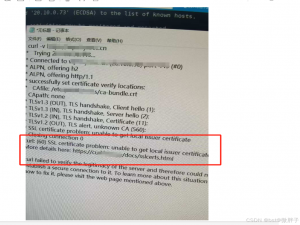 证书SSL certificate problem: unable to get local issuer certificate