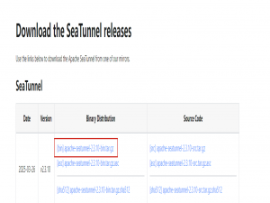 零基础必看！Seatunnel Web 源码编译指南