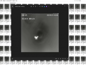 yolov8模型训练 红外可见光无人机检测数据集 可见光（RGB）和红外（IR）的无人机检测数据集的训练及应用 多模态可见光红外无人机数据集