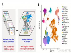 单细胞数据分析（五）：三种整合单细胞数据（Harmony、fastMNN、SCTransform）的完整流程_harmony怎么单细胞