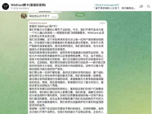 【已解决】告别 Wildcard野卡跑路封禁烦恼，国内升级充值 ChatGPT Plus 的三种稳定方法 (附实体卡与代充教程)_野卡跑路了?