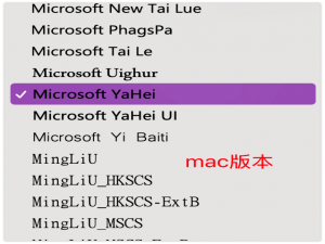 onenote千年老bug，字体bug (calibri&微软雅黑) 的解决_onenote设置默认字体不生效
