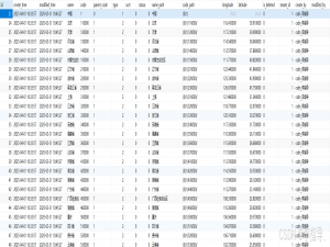 2025最新版全国6级行政区划(国,省,市,县,街道,村) 附件含表结构及全部数据_2025年最新行政区划表