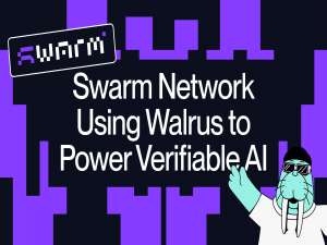 Swarm Network 选择 Walrus 实现可验证 AI