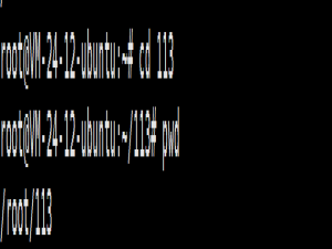 Linux--指令初识