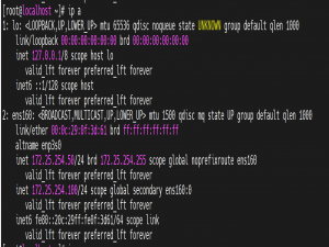 keepalived高可用集群