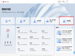 鸿蒙 HarmonyOS NEXT 5.0端云一体化开发-云数据库篇