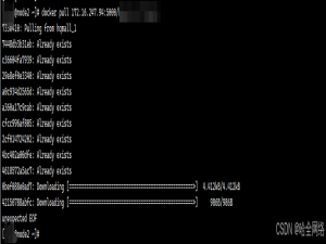 docker pull 报错unexpected EOF 解决方案_docker pull unexpected eof