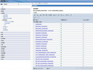 WebSphere Application Server（WAS）8.5.5教程第五讲