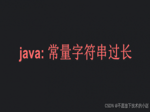 IDEA 编译报错 “java: 常量字符串过长” 的解决办法