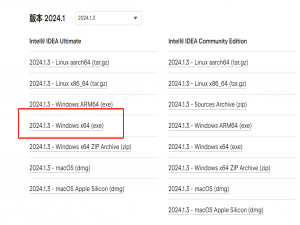 IDEA--2024.01版本安装教程_idea2024.1下载