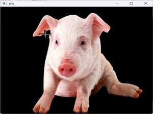从零搭建 OpenCV 项目（新手向）-- 第二天 OpenCV图像预处理（一）