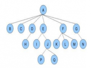 【数据结构】总结二叉树的概念以及存储结构_为什么完全二叉树最多只有一个度为一的节点