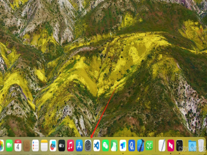 向日葵软件Windows系统连接苹果系统（MacOS）的无反应问题解决办法