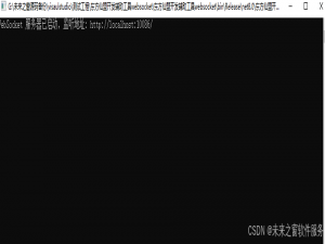 跨平台 WebSocket 服务器的设计与实现 —— 基于.NET 8 的跨操作系统解决方案linux，macos，windows——开发工具