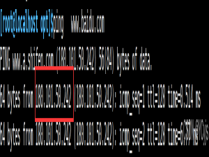 DNS域名解析服务_dns解析