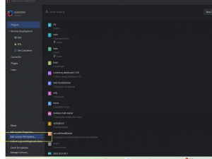 idea2024使用卡顿_idea 卡顿