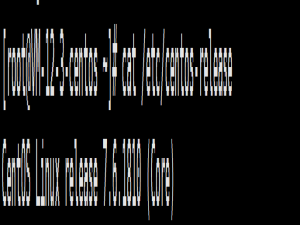 Centos 7部署.NET 8网站项目