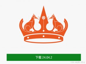 【Tools】Ubuntu24.04安装详细教程