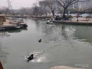 Docker（五）：CentOS7离线安装Docker、Docker Compose