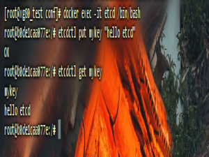 图片查重从设计到实现（2）Milvus安装准备etcd介绍、应用场景及Docker安装配置