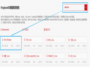 ​​金仓数据库KingbaseES V9R1C10安装教程 - Windows版详细指南​