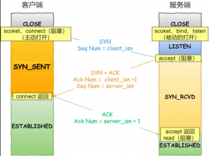 TCP三次握手与四次挥手面试（传输层面试题）回答版_11.tcp的三次握手和四次挥手面试怎么简要的回答