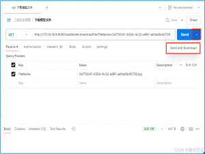 postman 调用 下载接口（download）使用默认名称（response.txt 或随机名称）_postman调用下载接口