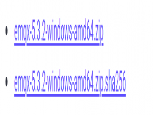 Windows上安装EMQX作为MQTT服务器以及配置MQTTX客户端_emqxwindows版本
