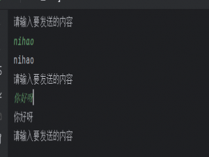 javaSE————网络编程套接字
