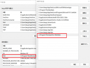 文件服务端加密—minio配置https_minio 加密