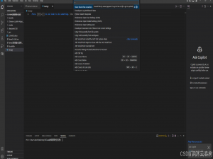 vscode左侧栏的文件图标及目录栏消失恢复_vscode左边目录显示出来