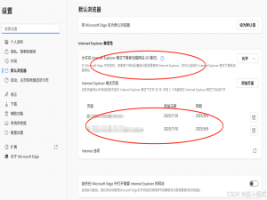 【运维心得】Flash在Edge浏览器里不显示怎么办？