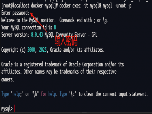 10、Docker Compose 安装 MySQL_docker compose mysql