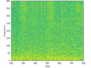 音频指纹识别_音频识别