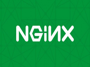 Nginx 在 Linux 中的配置及维护全教程_linux nginx log