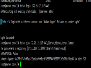 k8s：利用helm离线部署consul v1.21.2