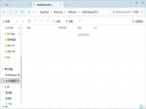 如何迁移 IntelliJ IDEA 的配置插件目录_idea插件安装在哪个目录